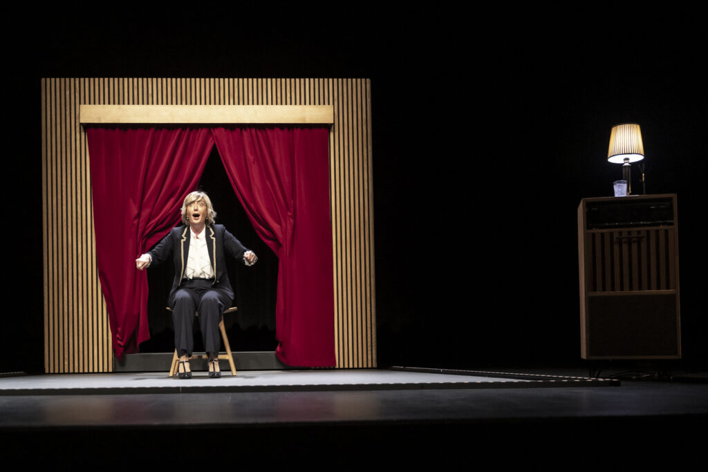 Bd_merci Pour_tgc_annecolliard-1109 Les Culturailes - Des spectacles inoubliables, pour rire, rêver et s’étonner.